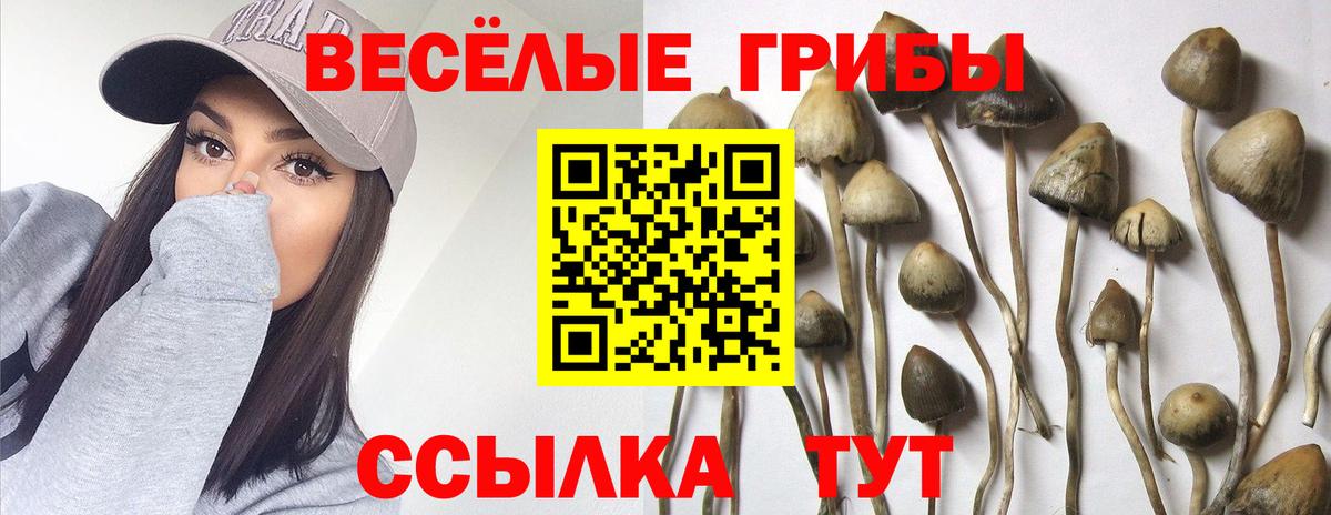 Псилоцибиновые грибы GOLDEN TEACHER Троицк